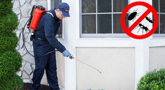 Digor Akrep İlaçlama böcek ilaçlama ve haşere kontrolü — ilaclama-tr.com